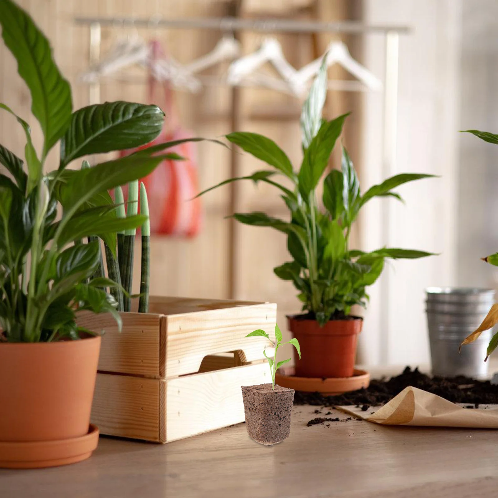 

40pcs Seedling Blocks Soilless Cultivation Grow Cubes For Garden Plant Starter Plugs Nutrient-Rich Fast Growth Degradable