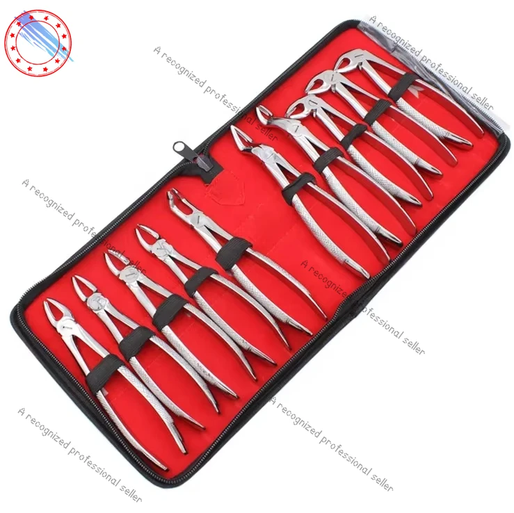 

Stainless Steel Adult Dentas Forceps 10pcs Extractings Forceps Set Toeth Extractings Pliers