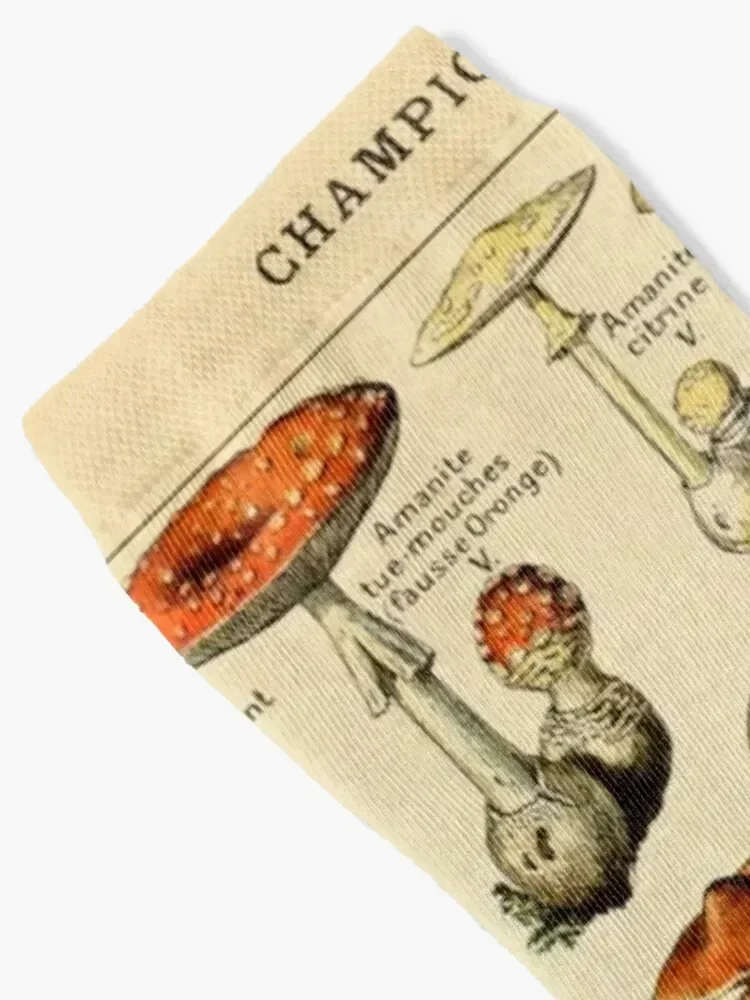 Mushrooms Socks custom sports Running valentine gift ideas men cotton high quality Men's Socks Luxury Women's