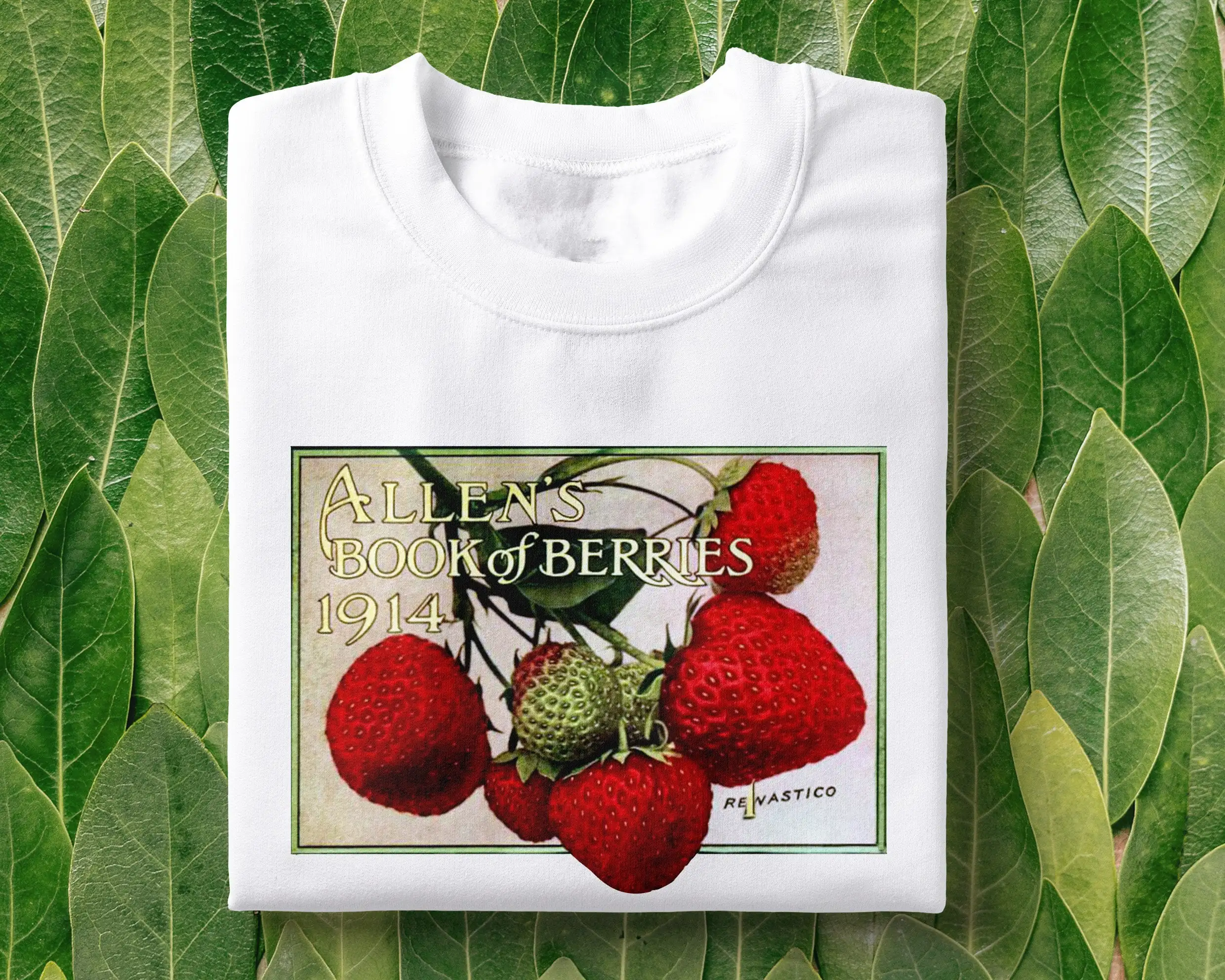 Strawberries Vintage Illustrated T Shirt Botanist Botanical Retro Fruit Plants Tumblr Aesthetic Womens Clothing