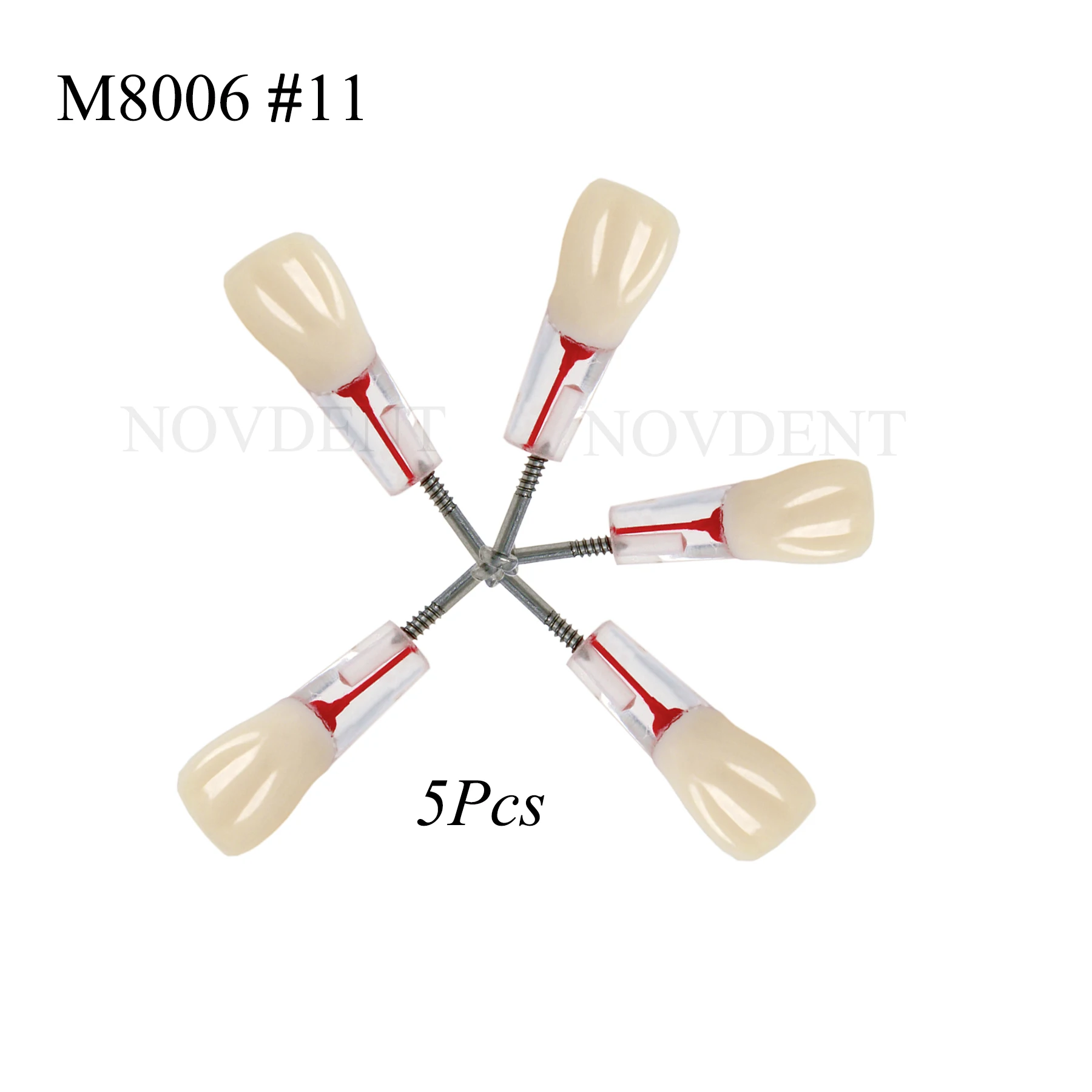

5Pcs Dental RCT Typodont Model Endo Roots Canal Teeth Model Study Practice M8006 #11