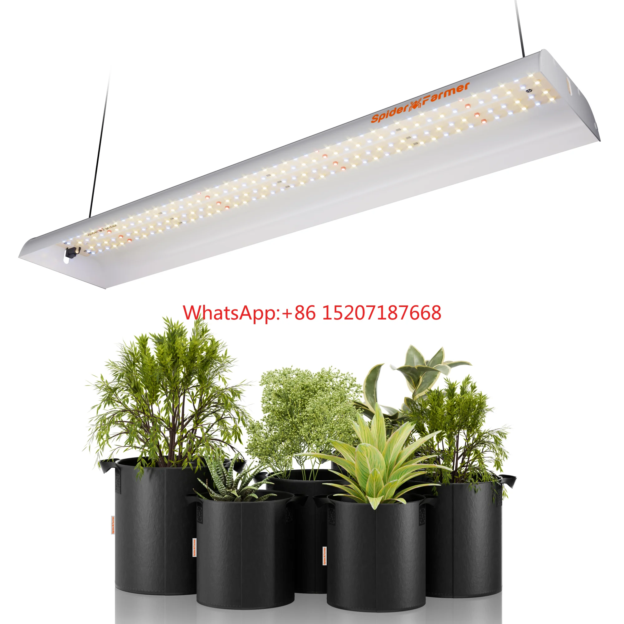 33W Veg Seedling Clone Indoor Full Spectrum Board Led Grow Light   SF300