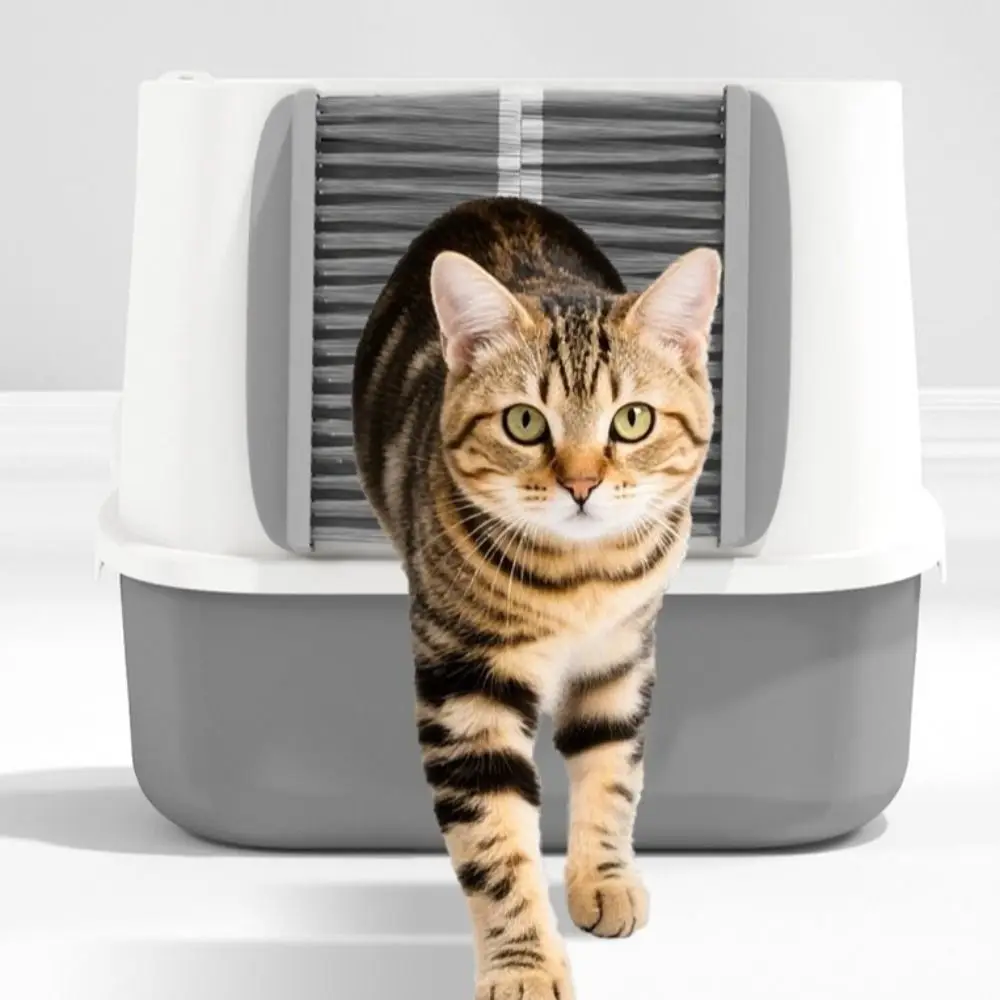 

Effective Cat Floating Hair Door Professional Multifunctional Pet Hair Removal Brush Self-adhesive Cat Grooming Brush Pet Shop