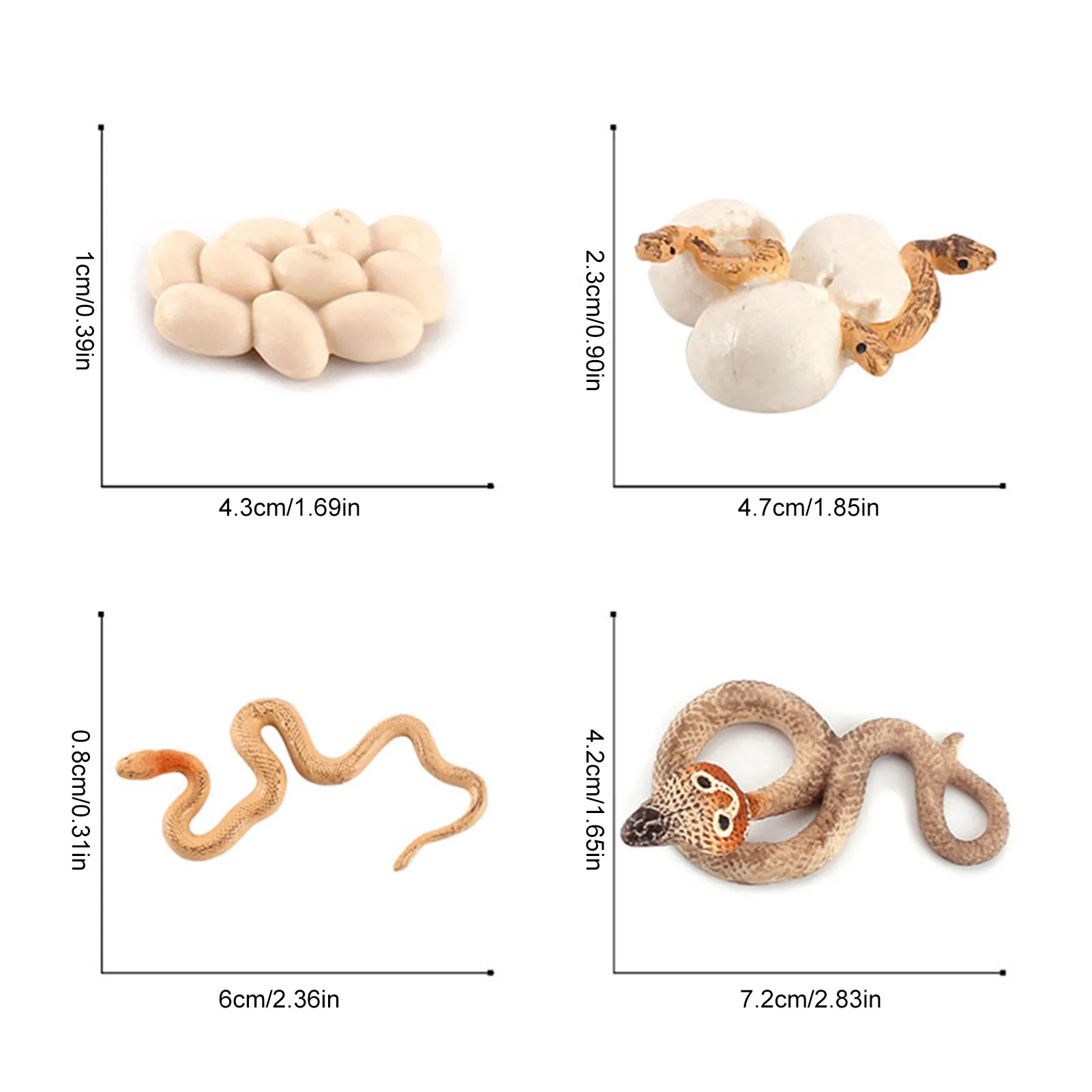 Realistic Rattlesnake Cobras Growth Cycle Model Hand Painted Figurine,Life Cycle Of Snake Miniature Educational Toy Figures Gift