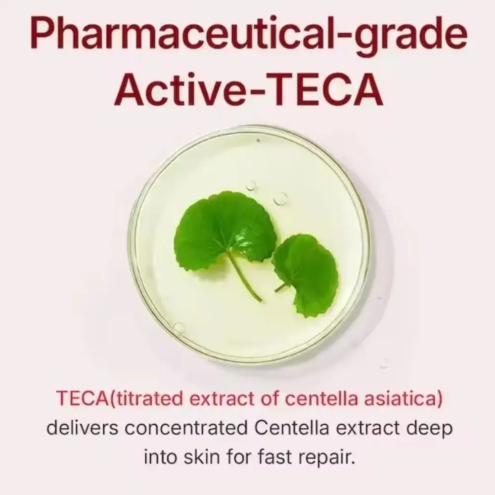 Korean Centella Asiatica Face Firming Cream Long-lasting Moisturizing Dry Skin Smoothing Anti-Wrinkles Spots Skin Care 1/2/3 PCS
