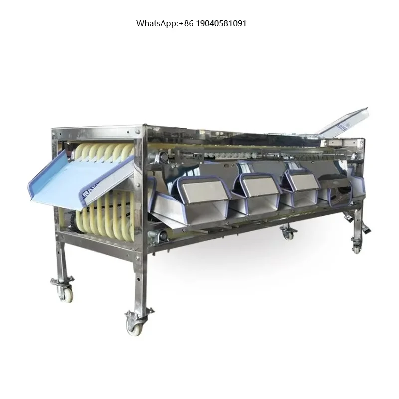 Multifunctional Lemon Sorter Fruit Sorting Olive Sorting Citrus Fruits Sorting Machine for Sale
