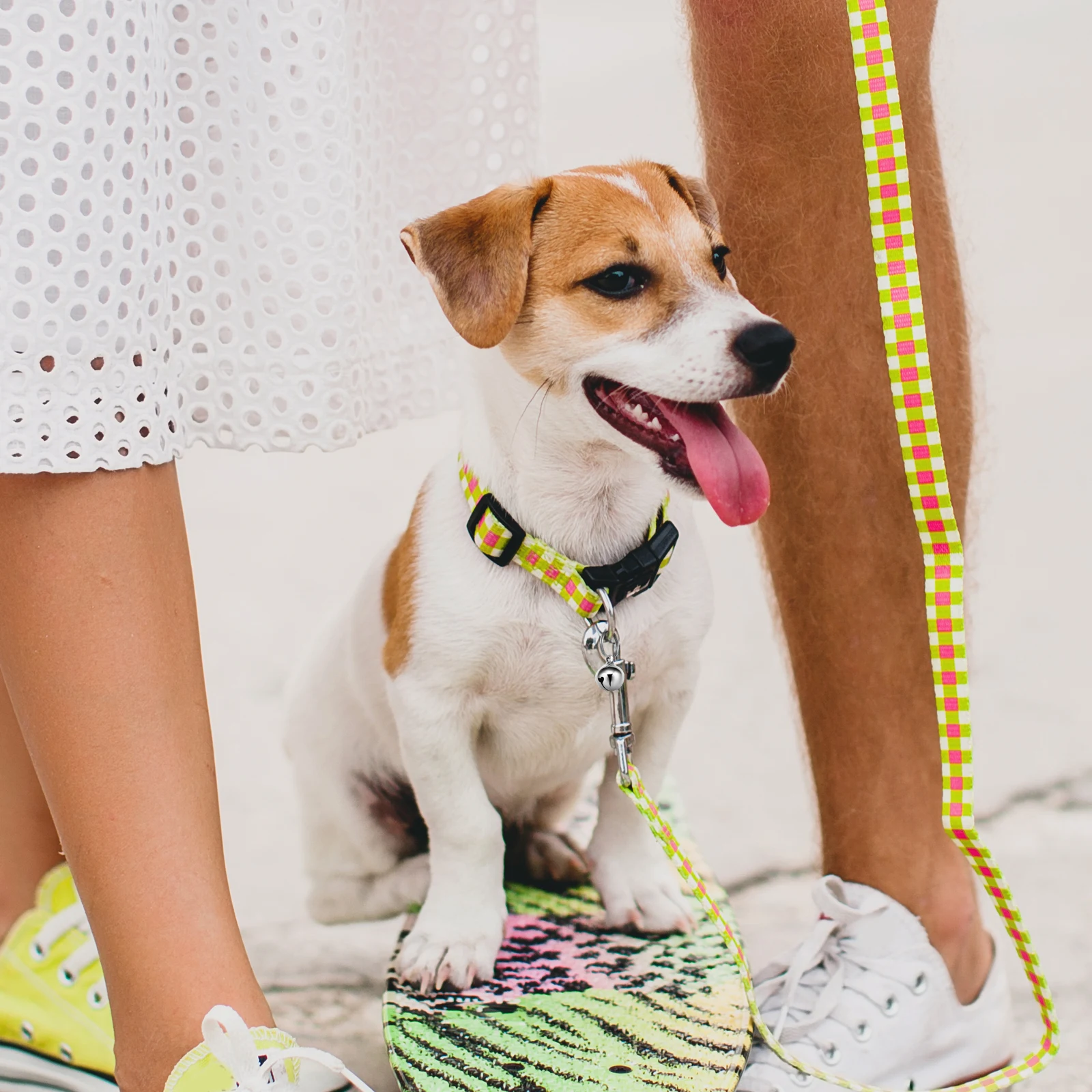 

6Pcs Pet Bells Premium Metal Construction Tiny Copper Bells for Cats Dogs Easy Attach Collar Decor 16Mm Silver