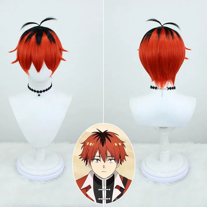 2D Anime Cosplay Wig, Anime Character Role Play Wig for Comic Con, Easy To Style