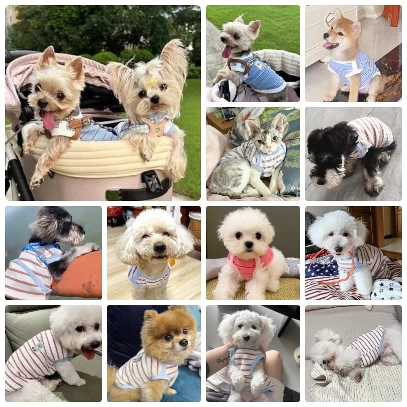 Cute Pet Vest Striped Dog Clothes Comfortable Dog Vest Breathable Puppy Shirt Summer Cat Vest Pet Pullover Bulldog Dog T-Shirt