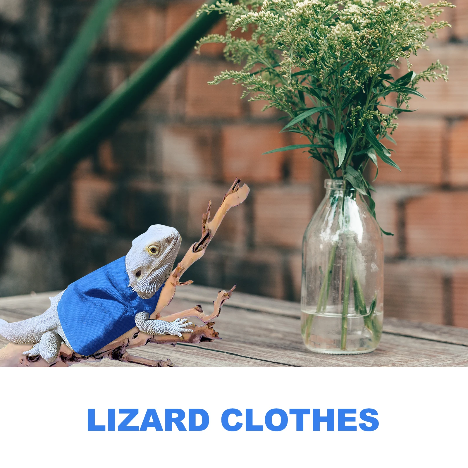 

Warm Clothing Bearded Dragon Costume Cotton Pet Clothes For Small Reptile Outdoor Party Festival Cosplay Lightweight Comfortable
