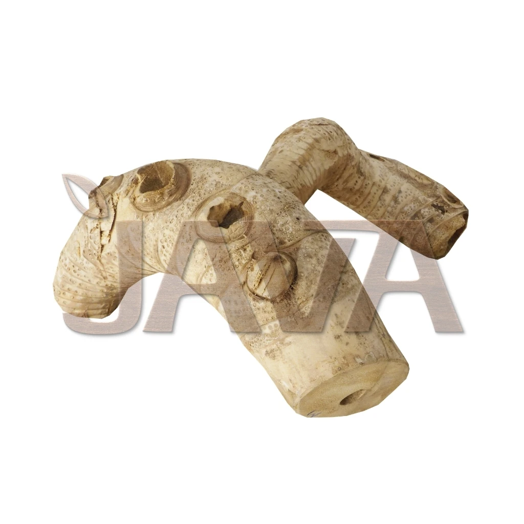 Java Eco-Friendly Durable Reptile & Amphibian Supplies Spider Root Bare Medium Herb Climbing Wood For Care