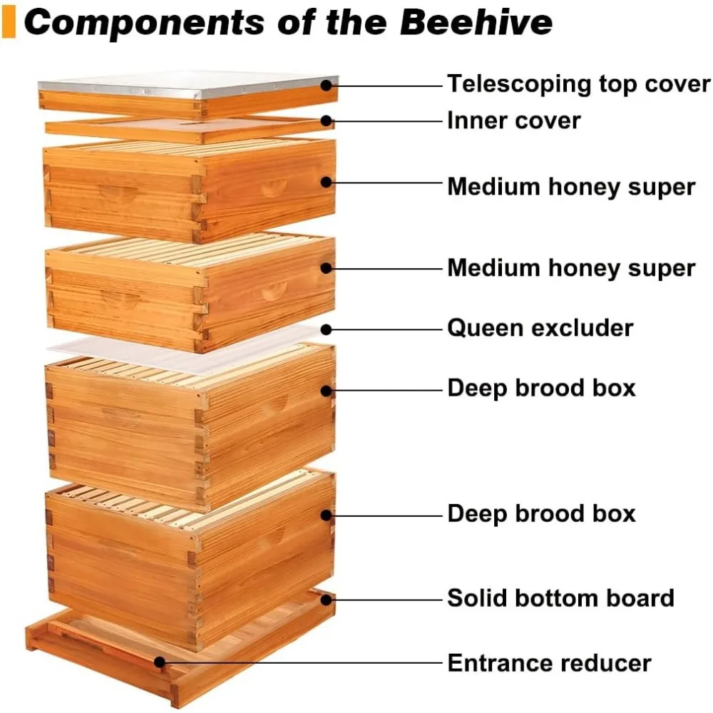 Bees Hive Starter Kit, 10 Frame Bee Hives,Hive Include 2 Deep Bee Box 2 Medium Beehive Box with Bees Frames and Wax Foundation