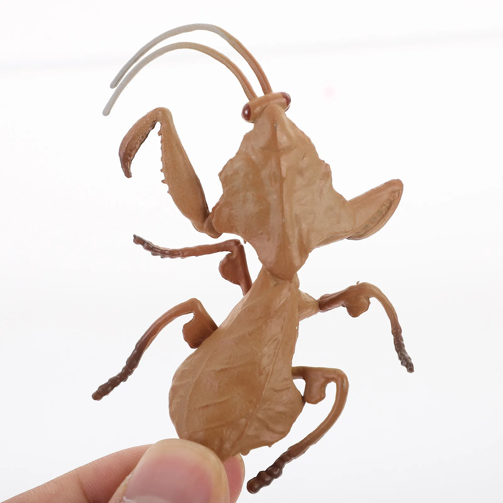 

3Pcs Plastic Mantis Ornament Realistic Design Kids Learning Aid Insect Recognition Garden Room Decor Vivid Simulation