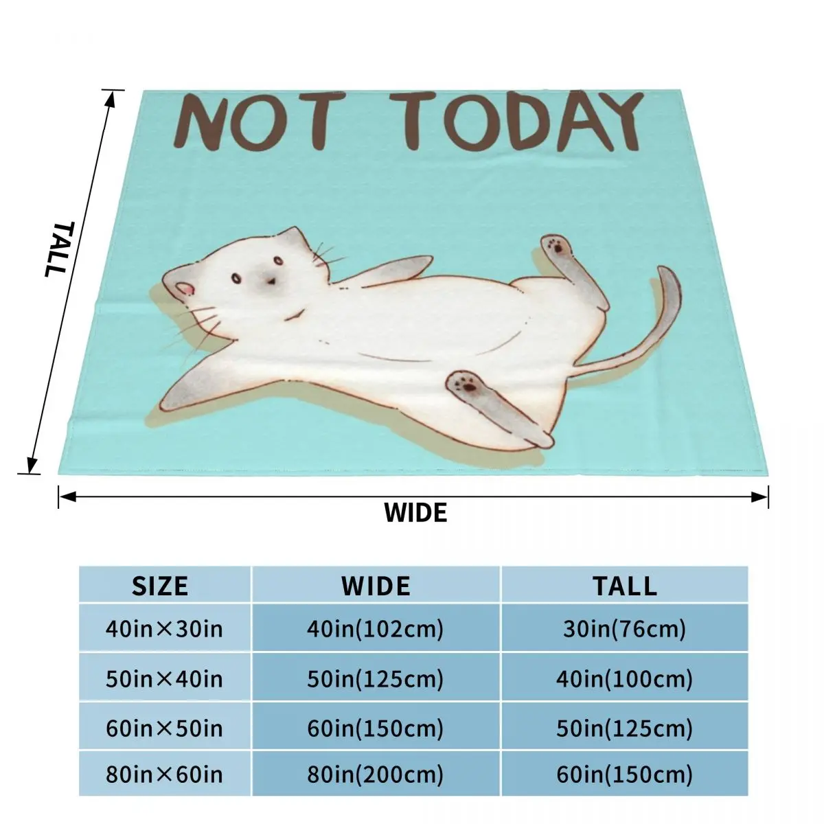 Not today - Lazy cat Throw Blanket Summer Bed Luxury Designer Blankets