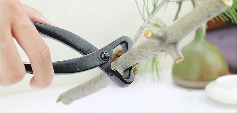 15Pcs Bonsai Beschneiden Werkzeug Set Carbon Stahl Umfangreiche Cutter Schere Kit mit Nylon Fall Für Home Garten Hand DIY beschneiden Werkzeug – Detail 9
