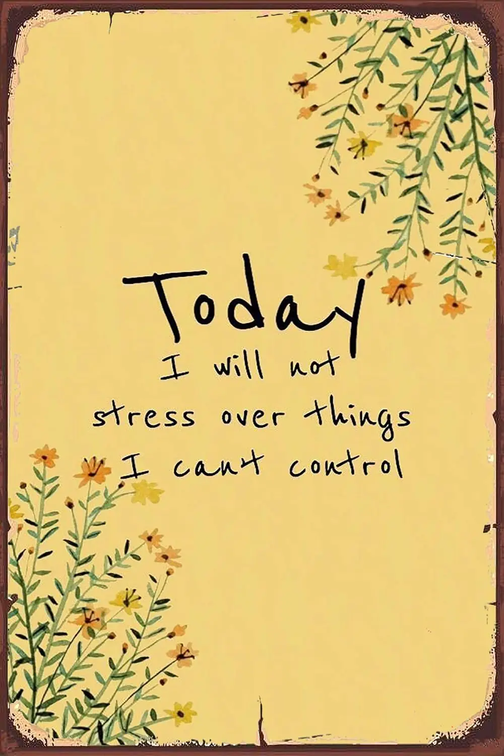 Today I Will Not Stress Over Things I Can't Control 8X12 Inch Tin Vintage Look Decoration Crafts Sign for Home Kitchen Bathr