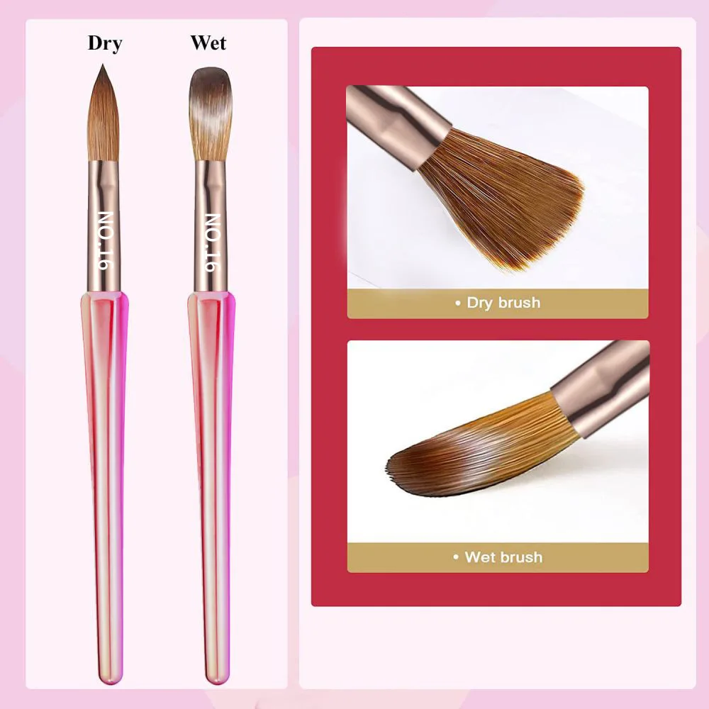 6PCS Nail Art Brushes Set - 6/8/12/14/16 Oval Shaped Acrylic Powder Nail Design Tools for Professional Manicure DIY