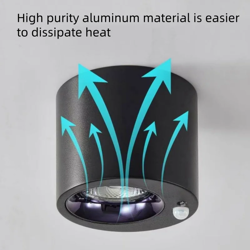 Human body induction light, entrance hallway, exposed ceiling light, automatic light sensing night light