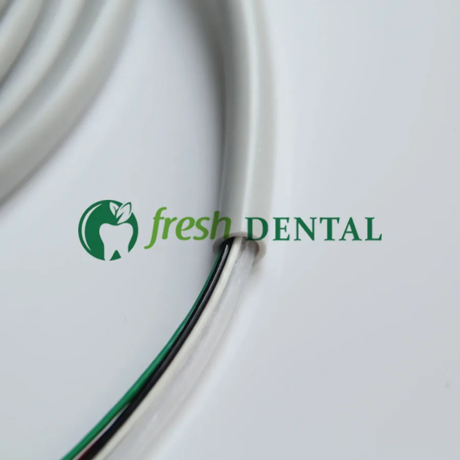 Dental Ultrasonic Scaler Handle Tails Detachable LED Fiber Optic Cable Pipe EMS Common Dental Materials for Periodontal Therapy view 5