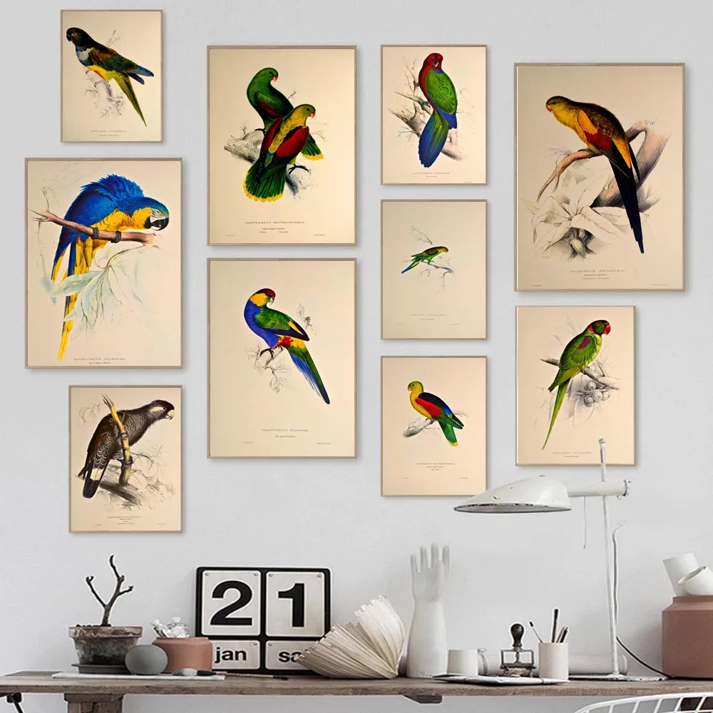 

Nordic RETRO art animal color bird Canvas painting parrot poster office wall painting living room bedroom home decoration mural