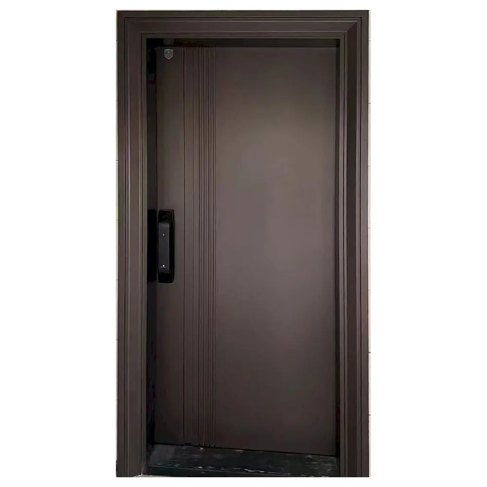 Customization Metal Exterior Door Front Entry Door Villa Aluminum Modern Stainless Steel Front Entry Pivot Door For Houses