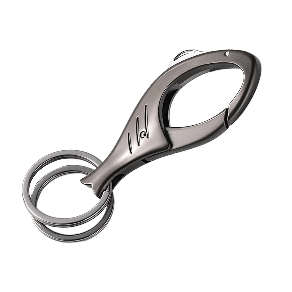 JanIris Key rings, 2 pcs Metal Keyring Key Chain Key Ring KeyChains Clip Key Chain Organizer for Home, Car, Key Finder