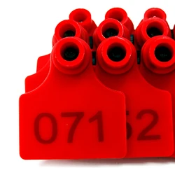 Plastic TPU Identification Label, Livestock Supplies, Pig Ear Tags, Farm Animal Eartags, Cow, Cattle, Goats, Sheep, 100Pcs