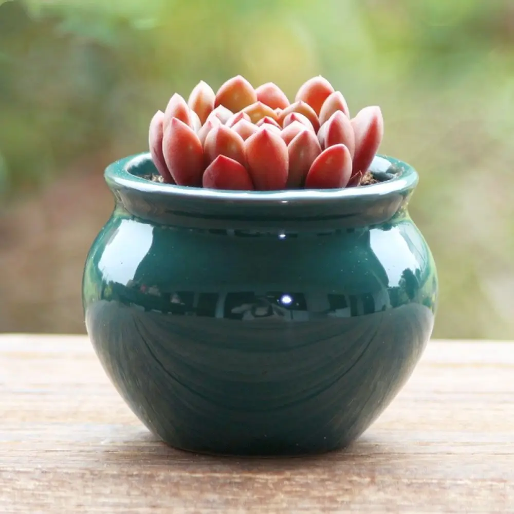 Creative Ceramic Succulent Planter Pot Vintage Style Rough Pottery Small Desktop Flower Vase Minimalist Home Office Decor