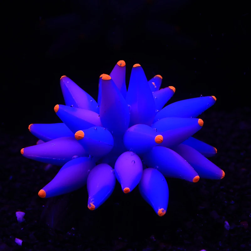 Fluorescencyjny bańka koralowa efekt luminescencji soczyste koralowe akwarium akwarium podwodny świat akcesoria do dekoracji roślin