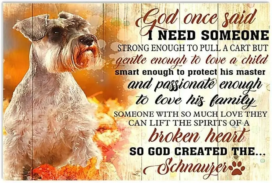 Retro Metal Tin Sign God Once Said Miniature Schnauzer Dog Sign for Outdoor & Indoor Wall Poster Home Bar Shop Coffee Vintag