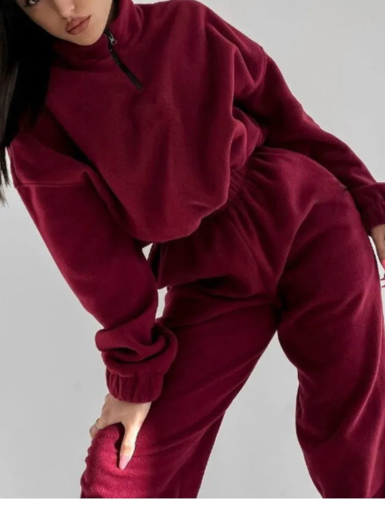 

Commuting Pants Set Autumn And Winter New Fashion Casual Loose Zipper Stand-up Collar Sweatshirt Small Foot Pants Two-piece Set