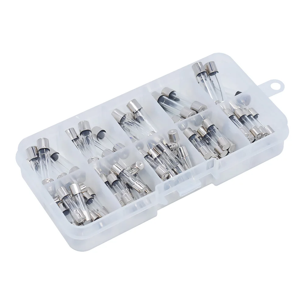 LIZAO 75Pcs Mixed Glass Fuse Kit 5x20mm 6x30mm 250V 3A to 30A Fast-Blow Fuse Tube Assortment Box for Circuit Protection