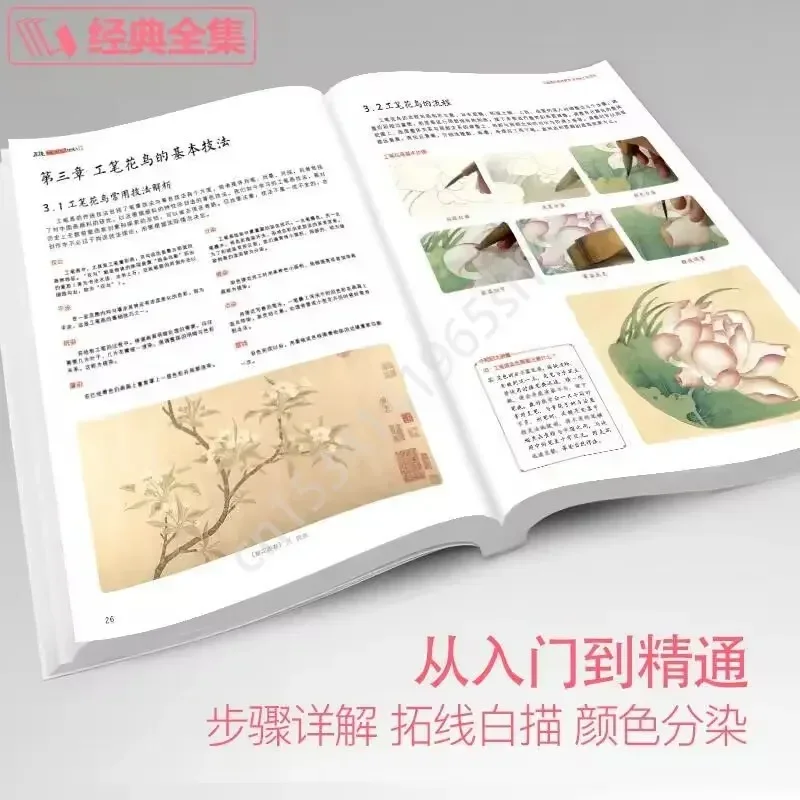 Neue akribische Vögel und Blumen Techniken beginnen grundlegende Tutorials Bücher chinesische Gongbi Gemälde farbige Pfingstrose