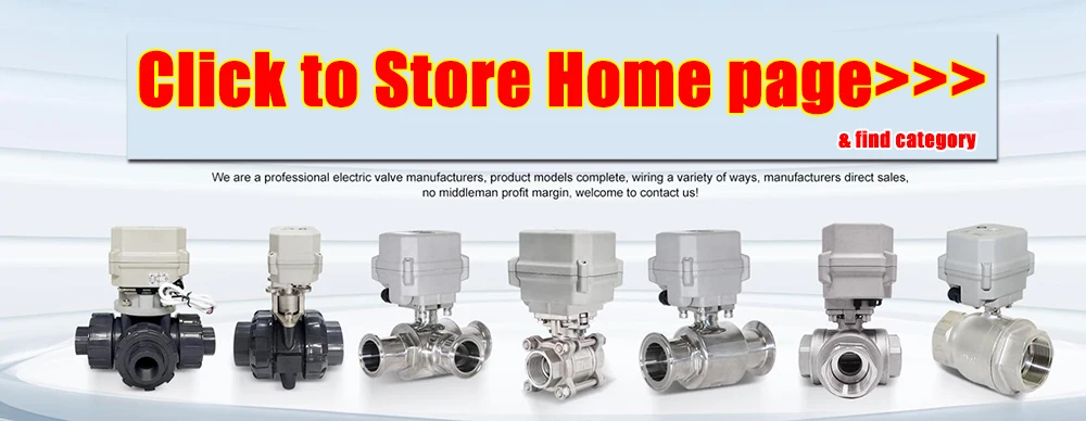 Magnetventil DN8 DN10 DN15 V type Ball Stainless Steel Valve Body used for Electric Valve with BSP NPT thread Wasser und Dampf — Detail 1