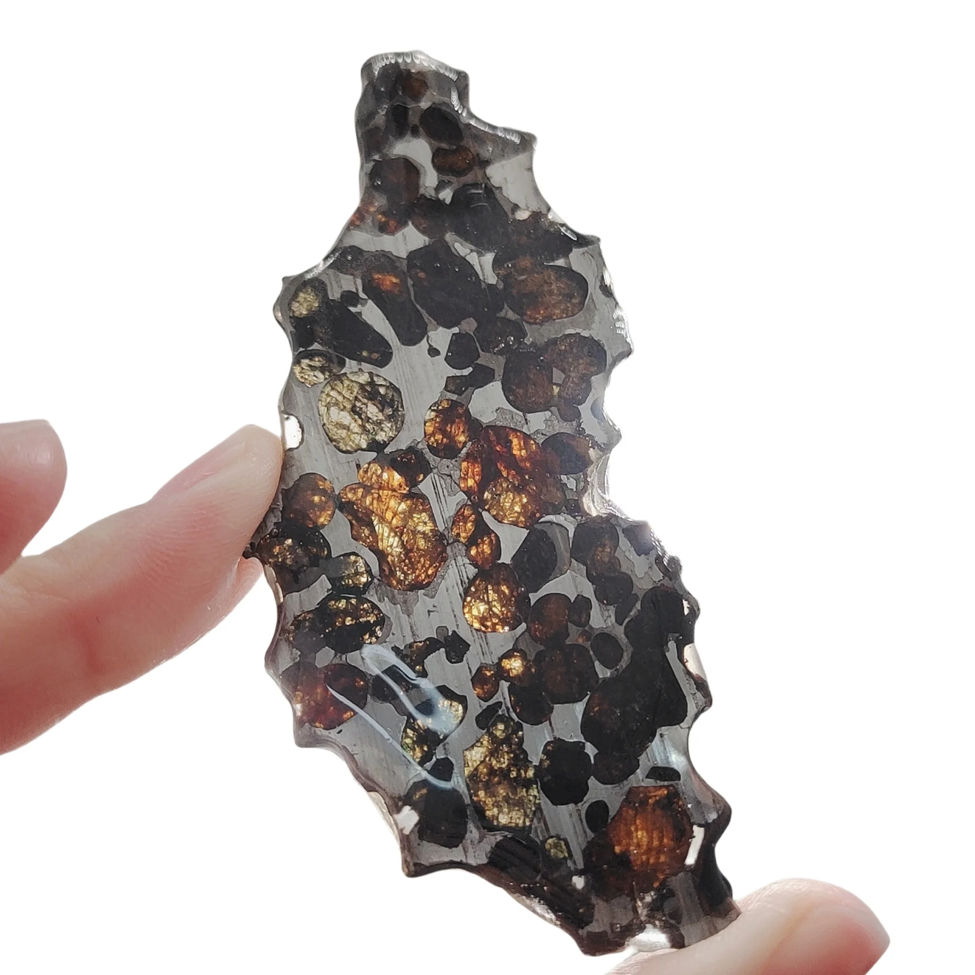 20g Seymchan Pallasite Olive Meteorite Slices Specimen Natural Meteorite Material Sliced Collection - TA623