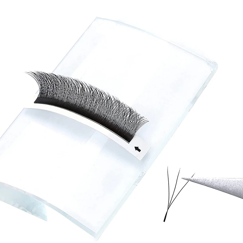 HOLLYLASH 3D/4D/5D/6D W Fake Eyelashes Premade Volume Fans 0.07mm C D Curl Eyelash Extensions Faux Mink Matte Lashes 6D W cilia