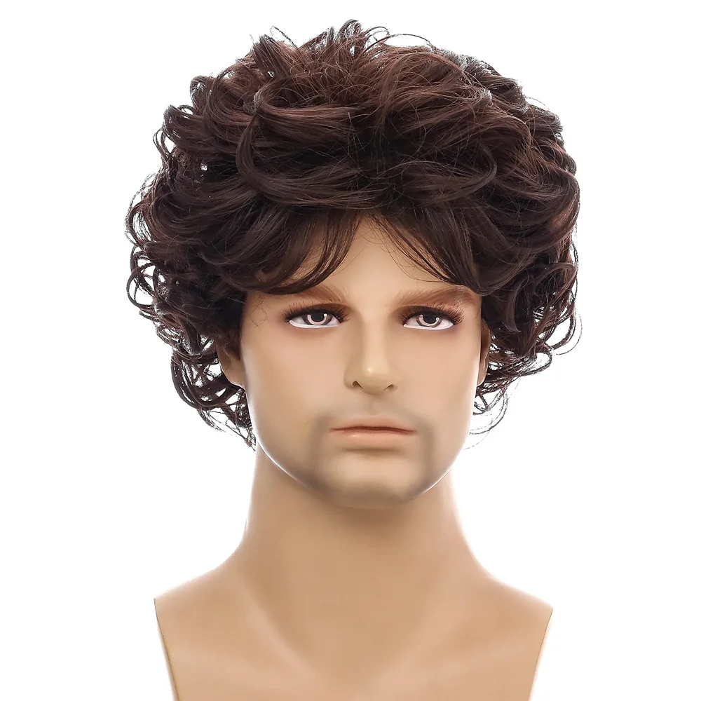 Dark Brown Wig for Men Synthetic Short Curly Wig Man Fluffy Breathable Wig with Bangs Daily Cosplay Party Heat Resistant