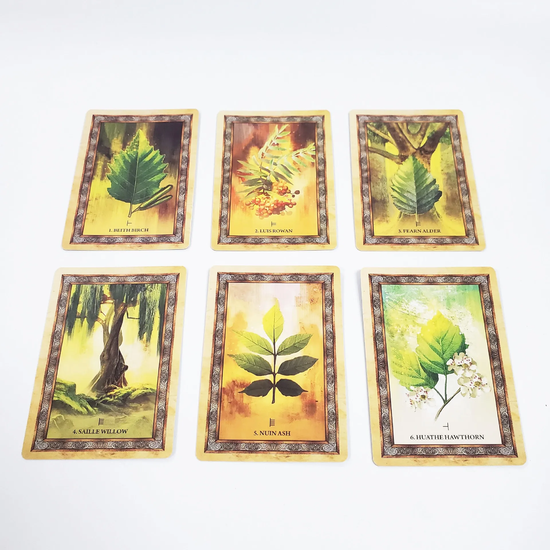 NEW Tree Oracle Cards board game