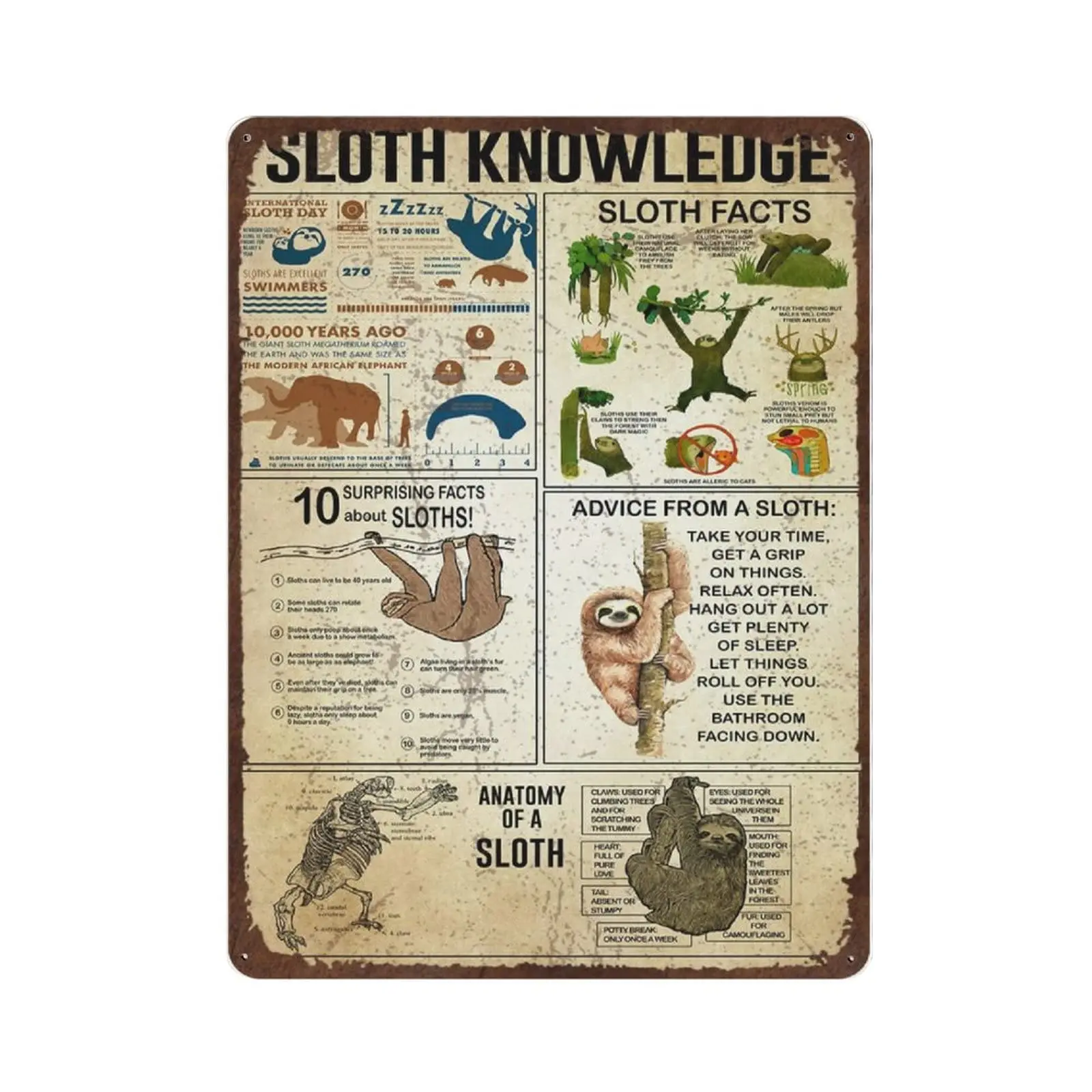 Antique Durable Thick Metal Sign，Sloth Knowledge Tin Sign,Funny Sloth Art Print,Vintage Wall Decor，Novelty Signs for Home Kitche