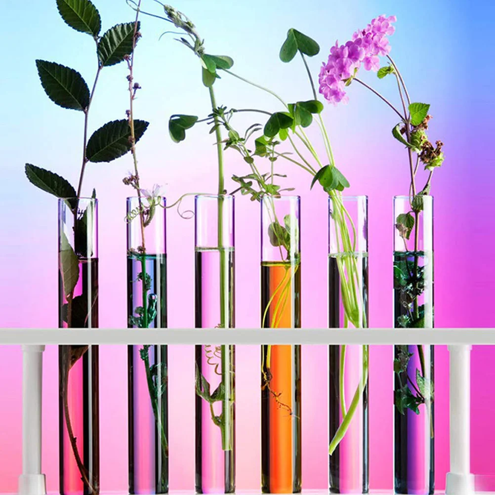 

15 Pcs Test Tube Round Bottom Tubes Glass with Lids Cork Chemical Container Clear Wooden Scientific Experiments for Plants