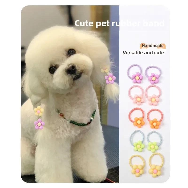 Dog high value cute versatile than bear teddy pet rubber band braids hair band headgear Maltese hair accessories