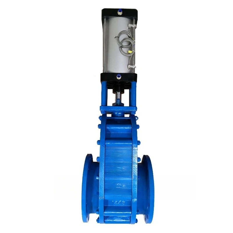

Ceramic valve Z644TC double gate valve ash conveying system zirconia tungsten carbide warehouse pump discharge seal