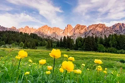 

Металлический улучшенный передний бампер, задний бампер и фаркоп для радиоуправляемой модели MN 1/12 Tank 300, запасные части