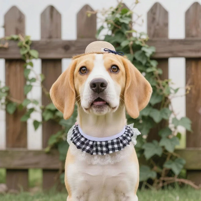 Creative Porch Pet Dog Cat Costume Handcrafted Straw Poultry Costume Hat Wear Windproof Rope Puppy Straw Hat