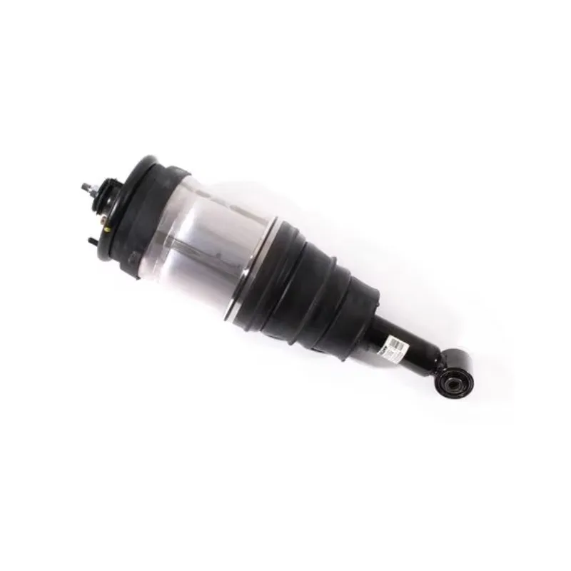 Auto parts Rear shock absorbers Auto shock absorbers
