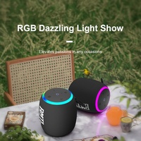 XDOBO BMTL Rainbow Portable Wireless Bluetooth Speaker BT 5.3 IPX7 RGB Lights Waterproof Outdoor Subwoofer TWS Connected