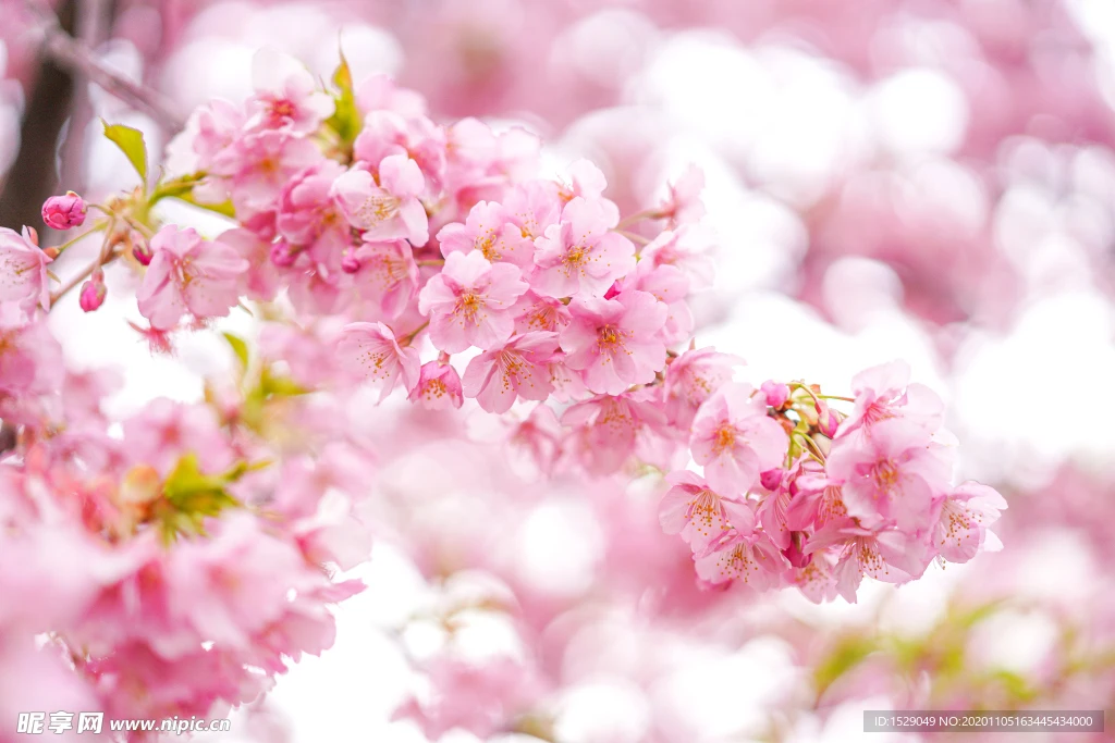 

FOR MJX Hyper Go 10303 10304 Metal Steering Cup Hub Carrier Steering Assembly Swing Arm Set 1/10 RC Car Upgrade Parts Accessorie