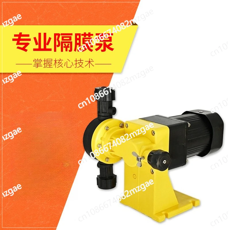 Stainless steel 304 pump head mechanical diaphragm metering pump, sewage treatment pump adjustable dosing pump
