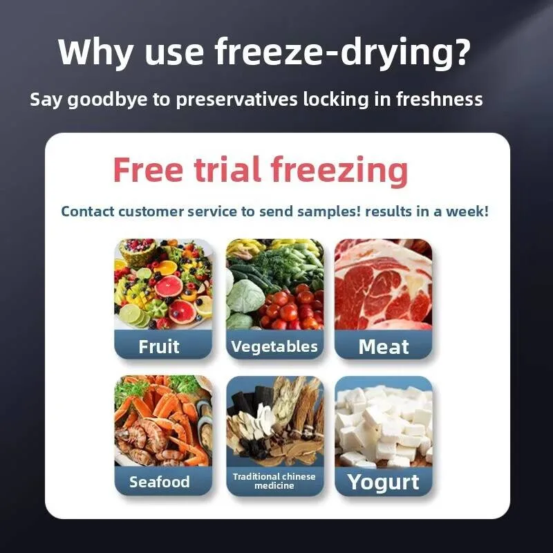 مجفف التجميد فراغ تجميد الحلوى المجففة كورديسيبس الفاكهة والخضروات مجفف التجميد المنزلية الصغيرة الصانع البيع المباشر #4