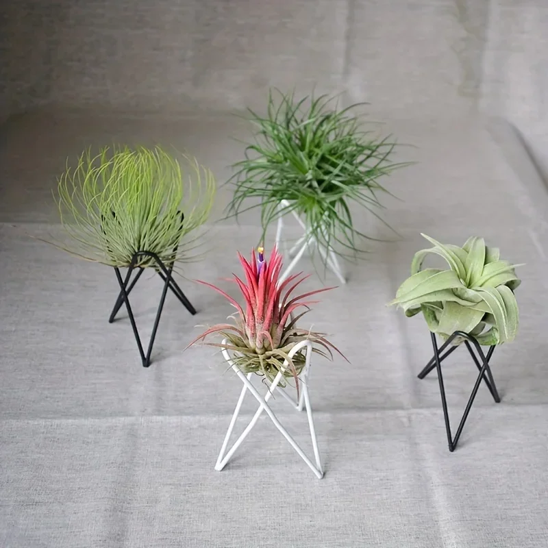 1pc/3pcs-European Style Simple Mini Desktop Flower Rack, Flower Pot Rack, Multi-functional Iron Art Flower Rack